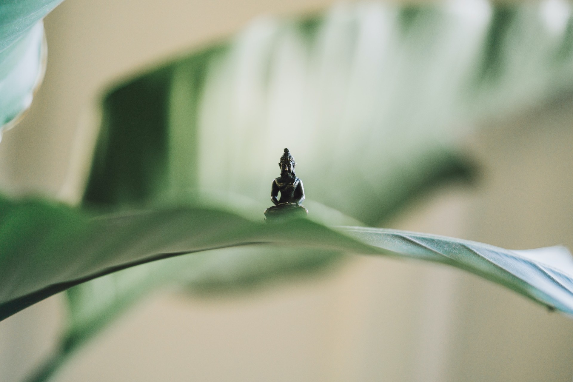 Tarifs et prestations